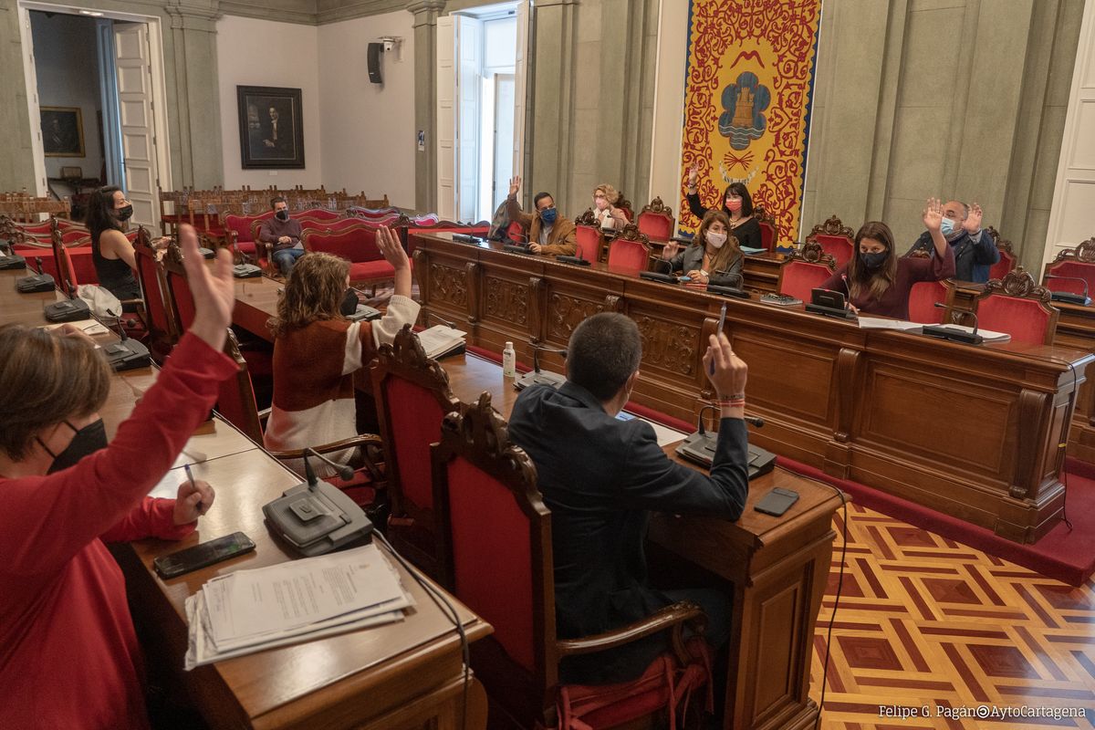 Comisión celebrada en el salón de plenos.