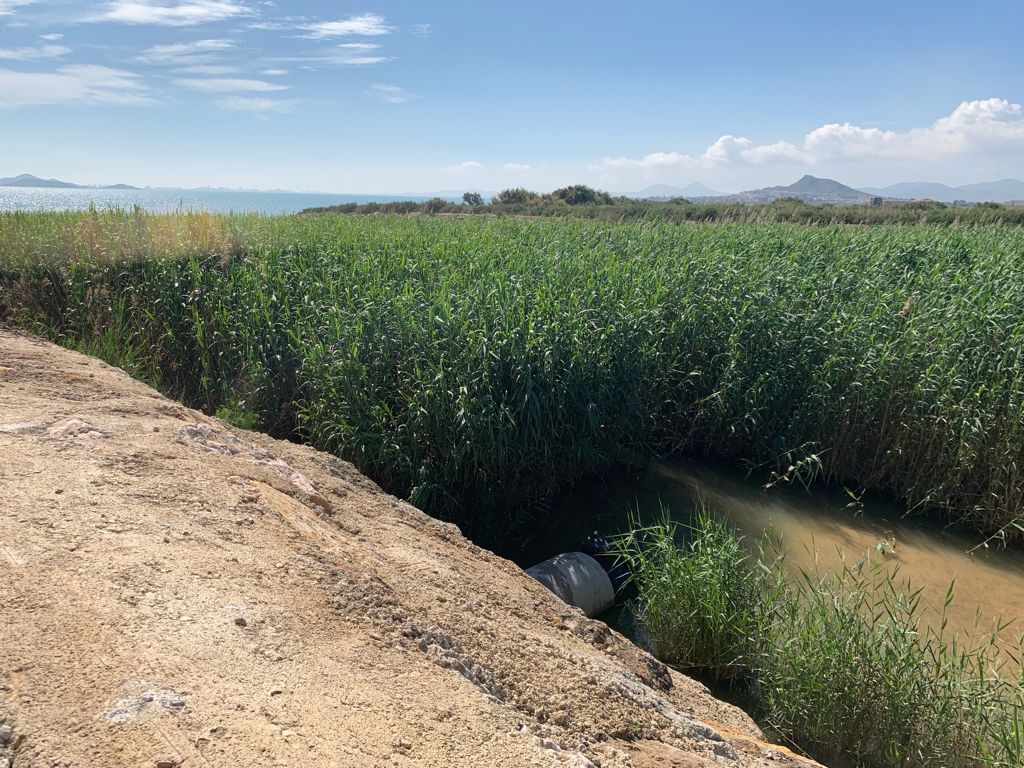 Desembocadura de la Rambla del Albujón al Mar Menor en mayo de 2021.