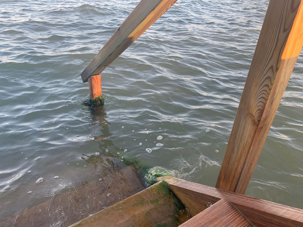 Escaleras con musgo en escaleras de las pasarelas de Los Urrutias