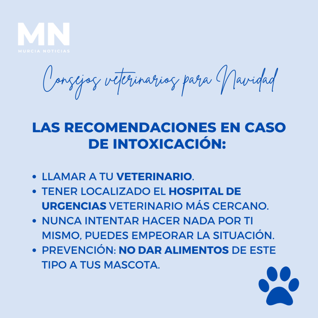 Consejos veterinarios para mascotas, Murcia Noticias