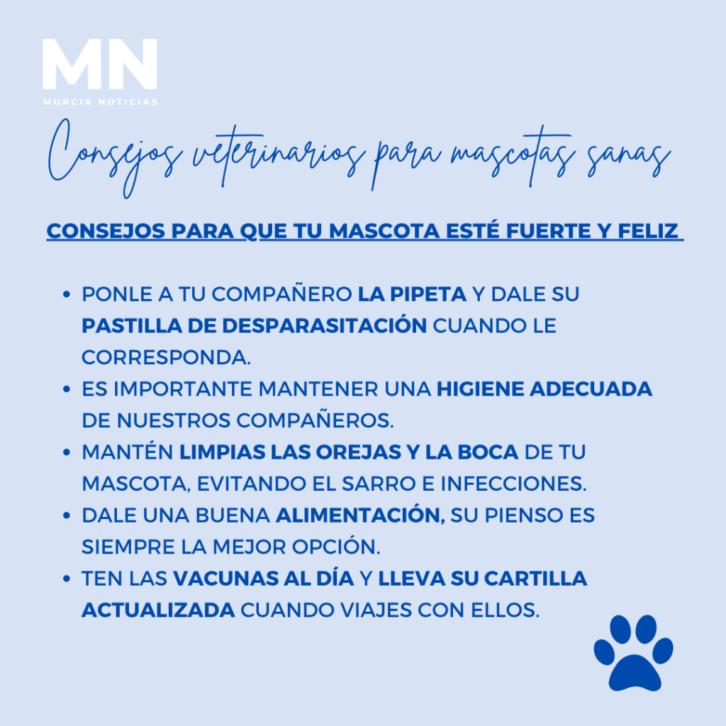 Consejos mascotas sanas