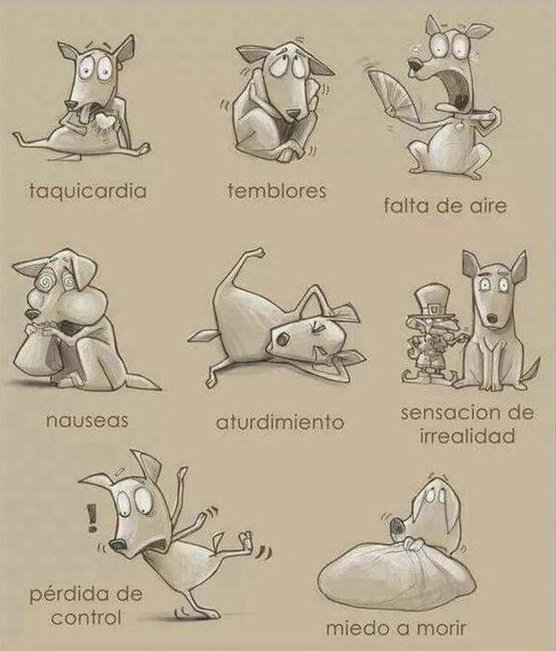 Imagen de la campaña contra los petardos y sus consecuencias en animales PACMA