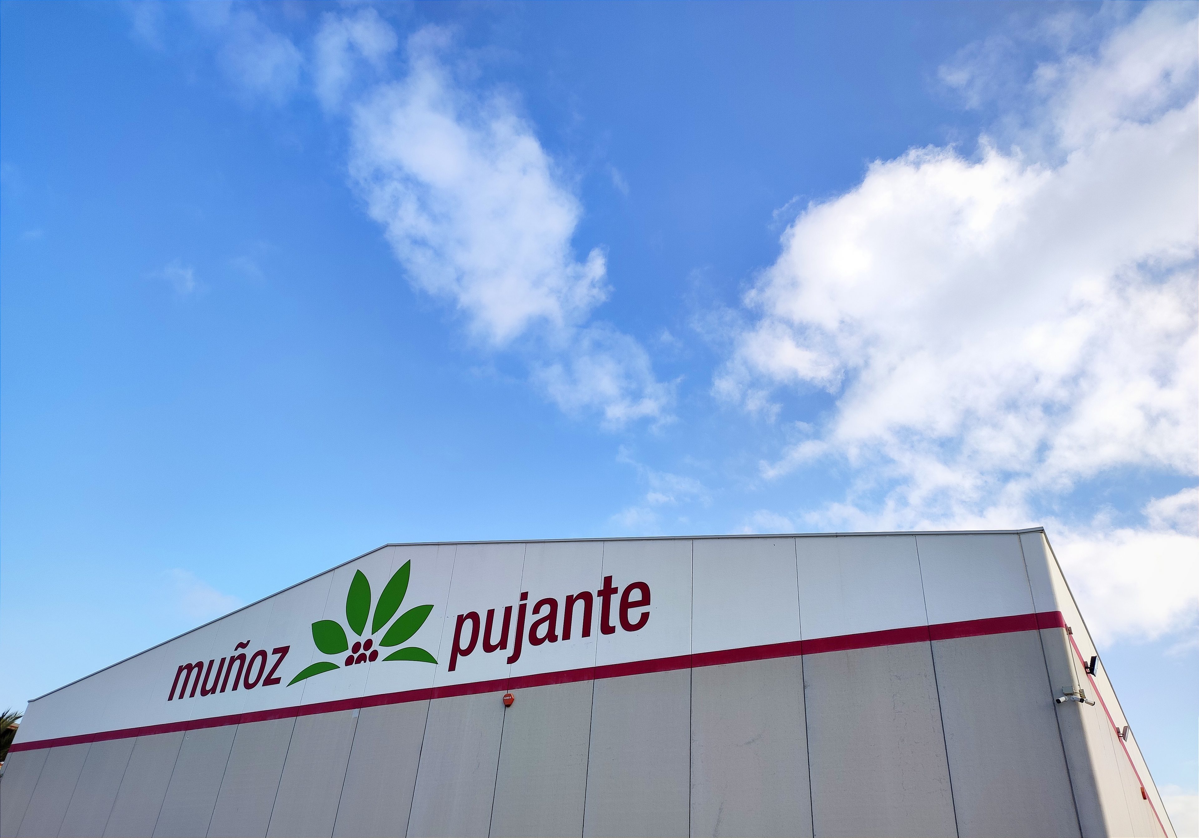 Empresa de pimentón murciana, 'Muñoz y Pujante'