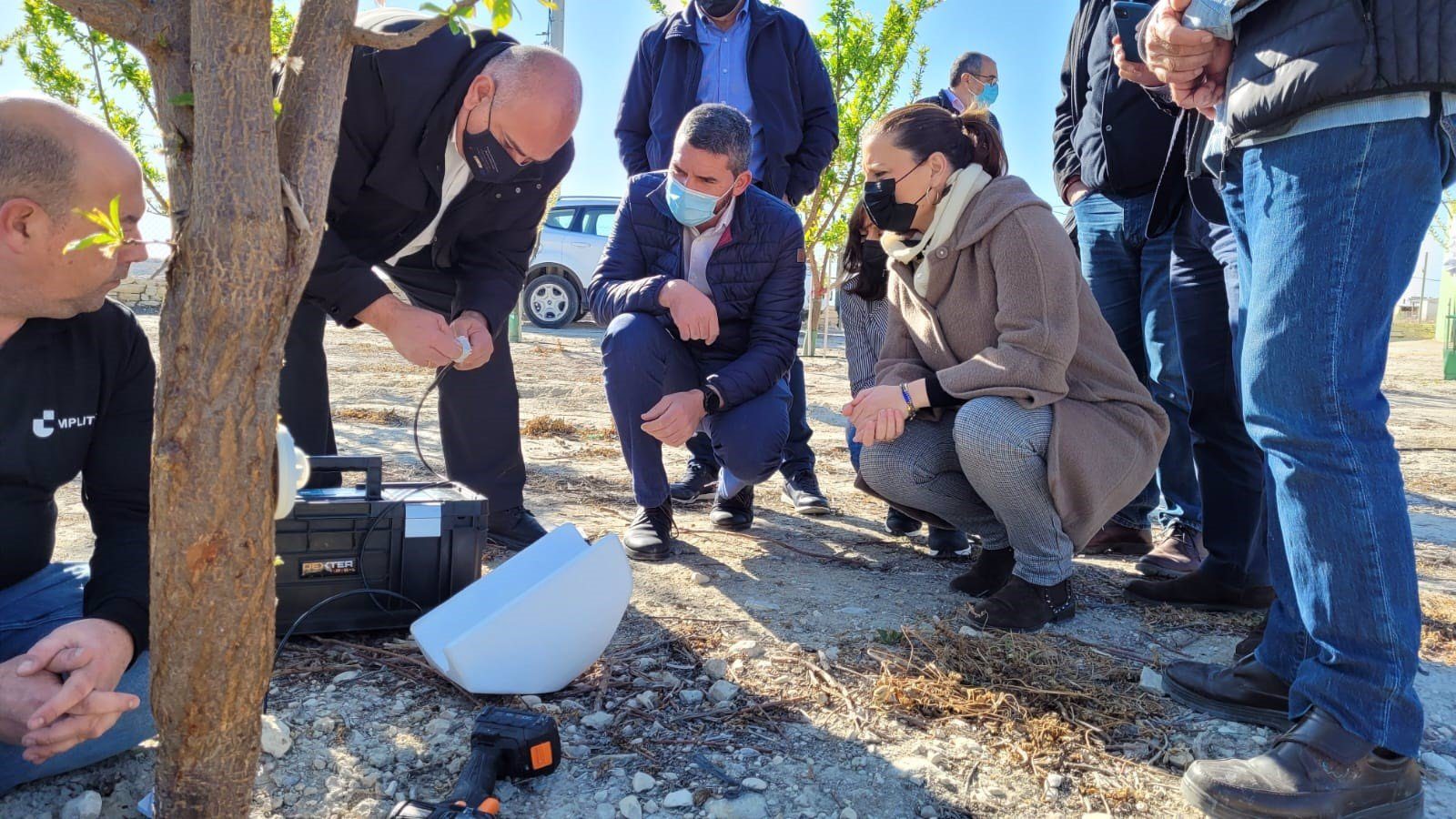La region pionera en europa en el uso de sensores inyectados en arboles frutales para reducir el consumo de agua