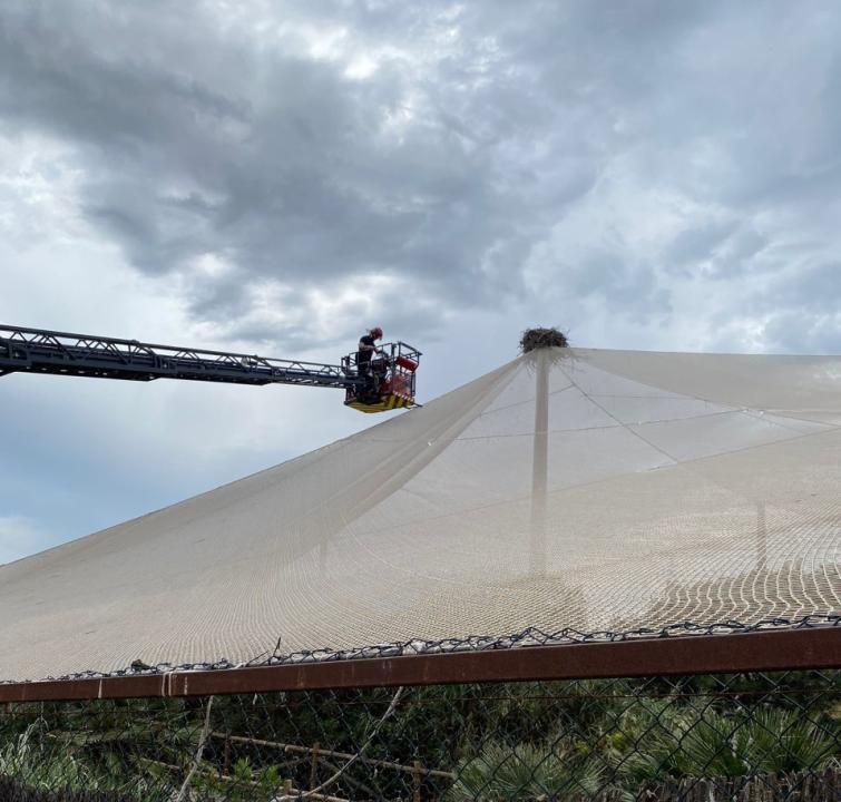 Rescate Terra NAtura