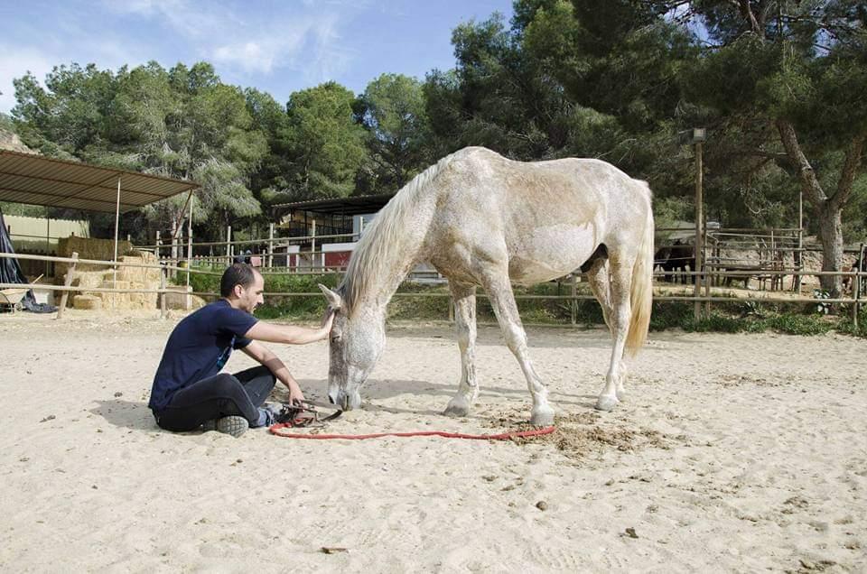 Centauro Quirón, Fundación