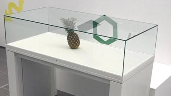 Un estudiante que dejo_ una pin_a en medio de una exhibicio_n de arte como una broma se quedo_ conmocionado despue_s de que los curadores colocaran la fruta dentro de una vitrina