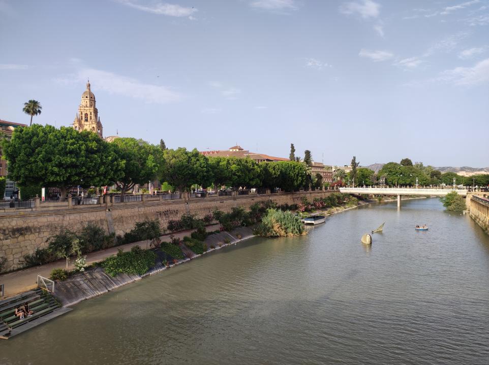 Paseos con perros en Murcia