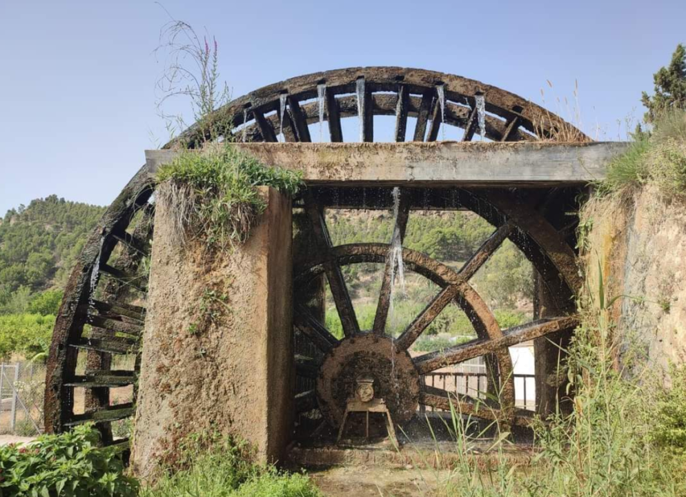 Paseo con perros cerca de Murcia
