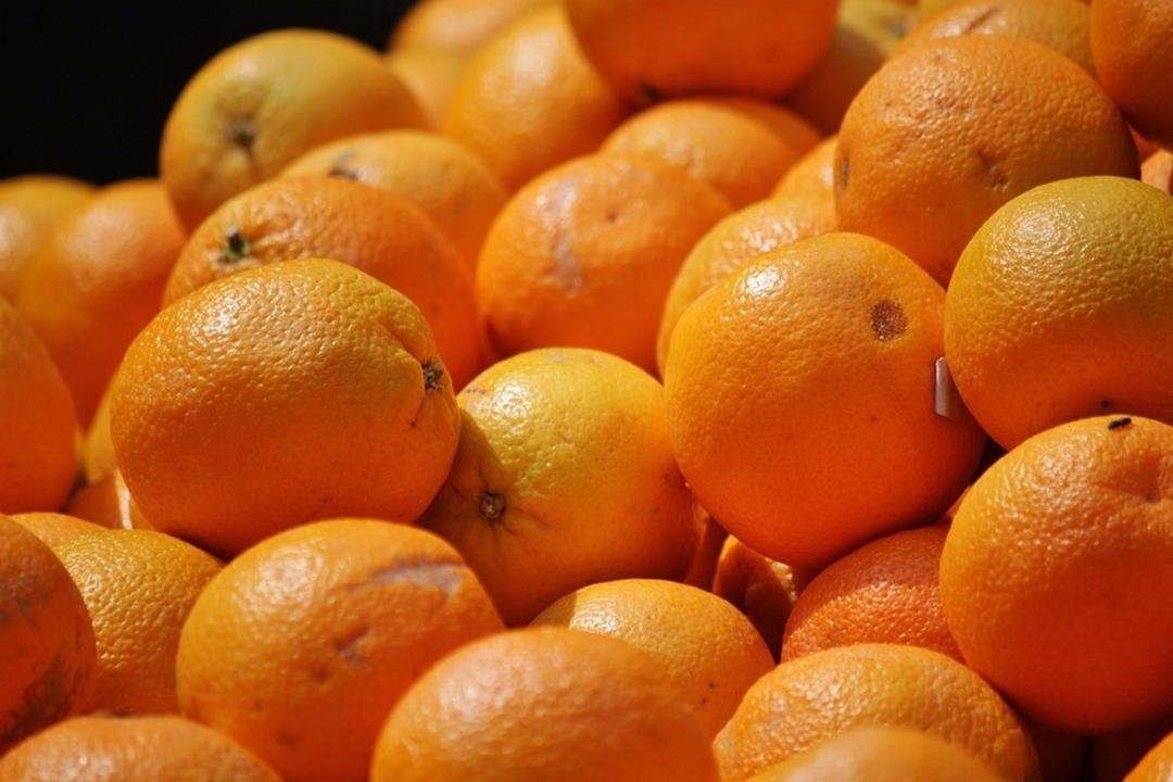 Las exportaciones de sudafrica sin tratamiento en frio generan ruina absoluta a la citricultura espanola segun asaja