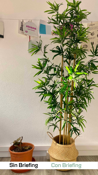 Branding Square, Javier Zamora