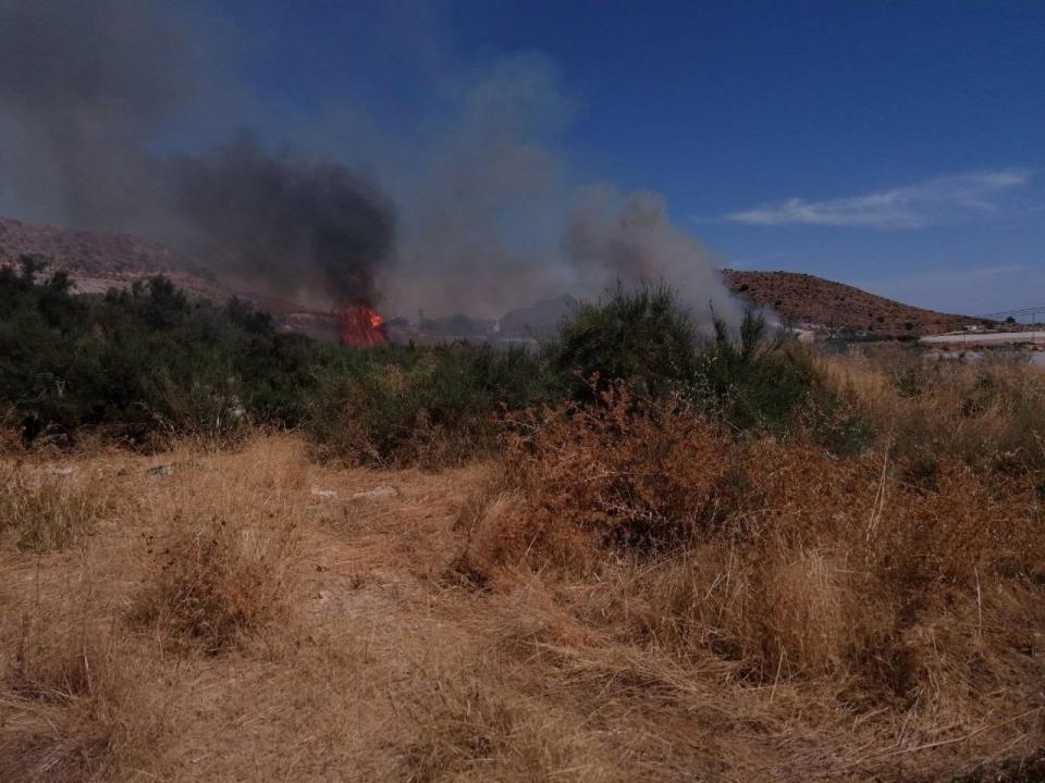 Efectivos del plan infomur extinguen un incendio de cultivos abandonados en mazarron murcia