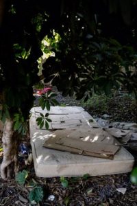 Lugar donde han hallado muerto al hombre de 48 años frente al Auditorio Víctor Villegas de Murcia