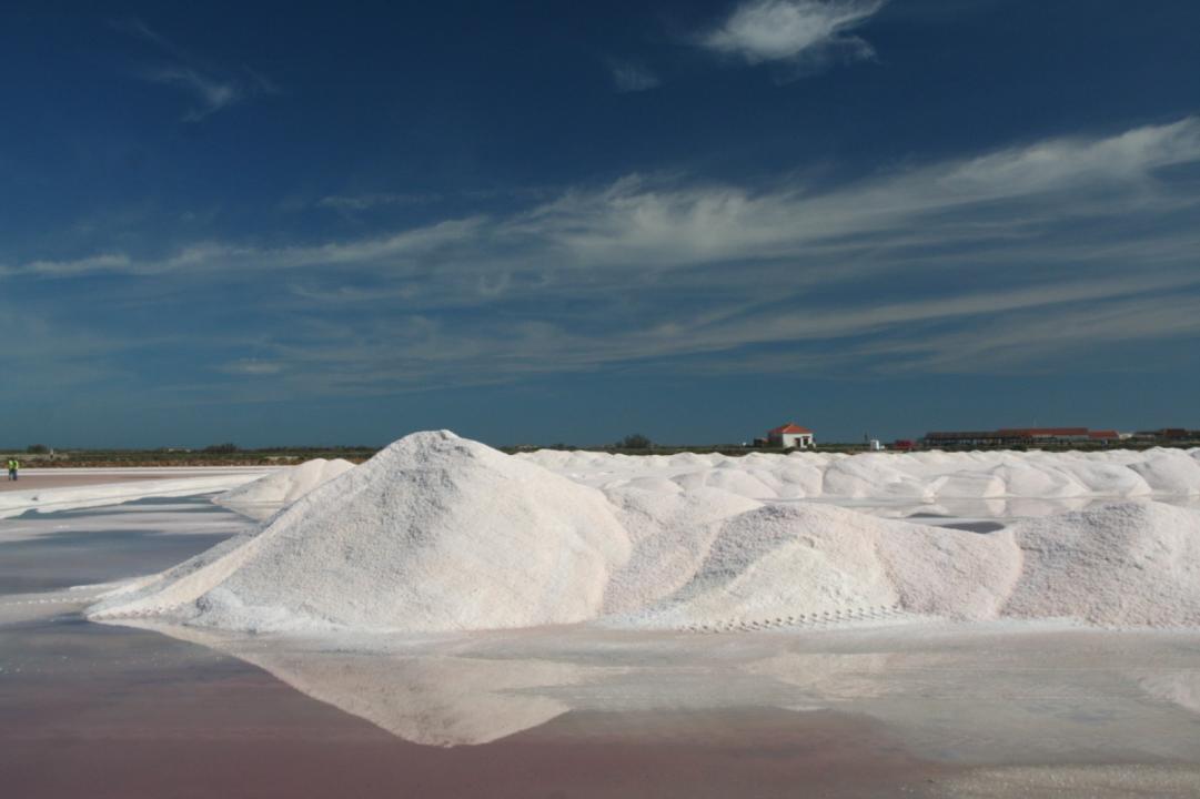 ExtracciondesalSalinas