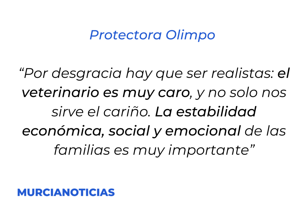 Protectora de Animales
