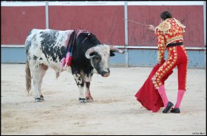 feria taurina del arroz de calasparra 2