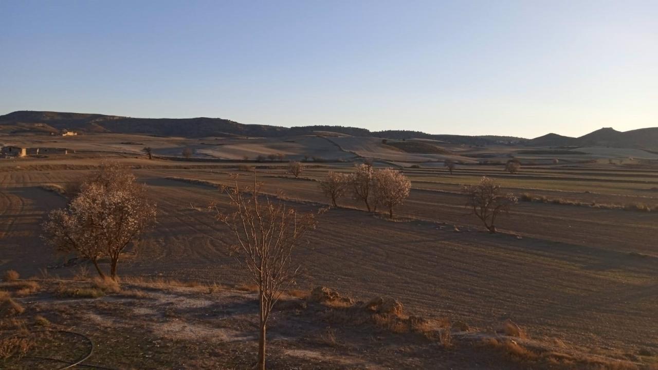 Coag ir murcia advierte de la asfixia de los cultivos de la region por la persistencia de la sequia invernal